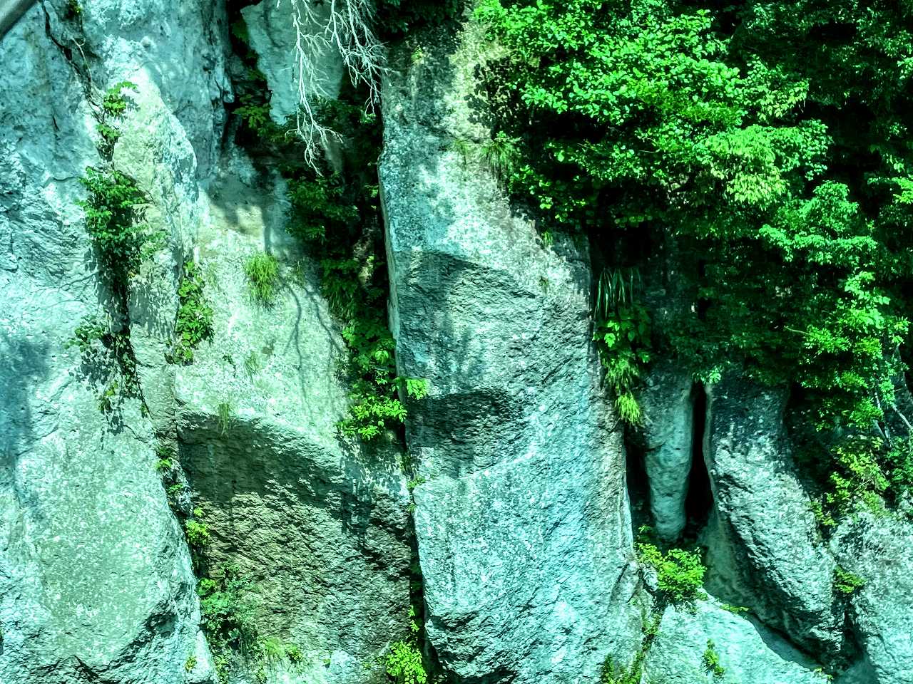 迫田孝也さんの性格・運気・運勢とは？