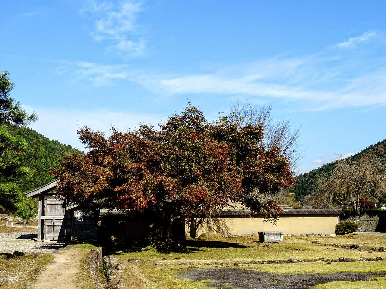 毎熊克哉さんの性格・運気・運勢とは？
