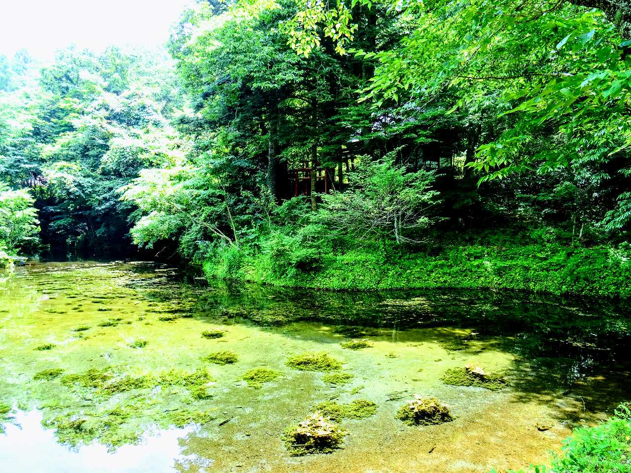 飯沼愛さんの性格・運気・運勢とは？
