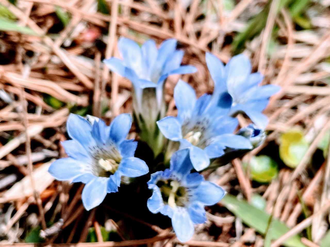 窪田正孝さんの性格・運気・運勢とは？