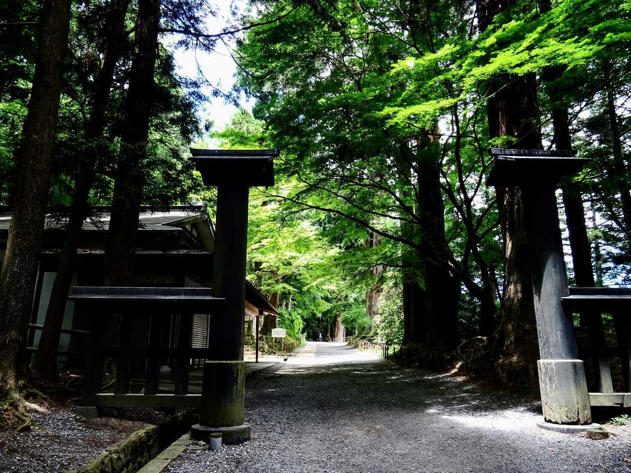 大倉孝二さんの性格・運気・運勢とは？
