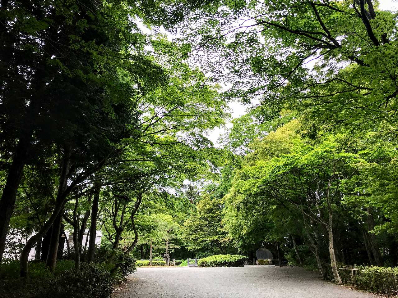 及川光博さんの性格・運気・運勢とは？