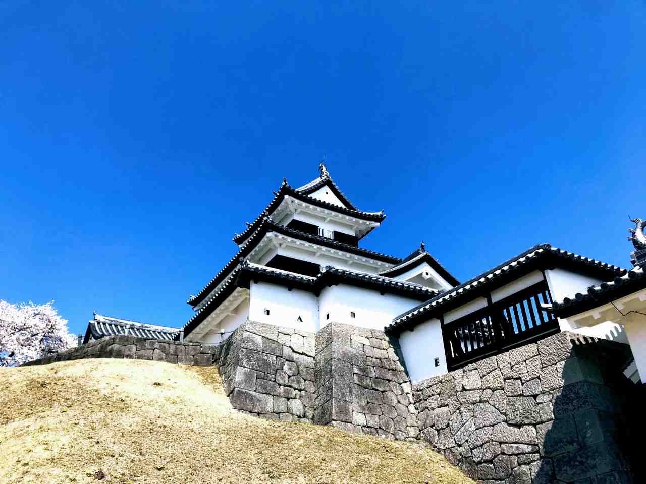 徳川家斉の性格・運気・運勢とは？