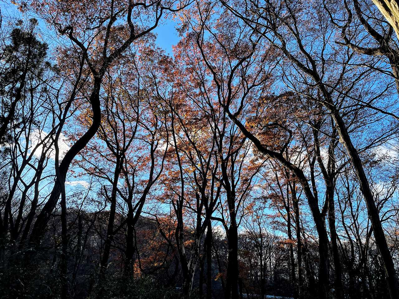 小泉孝太郎さんの性格・運気・運勢とは？