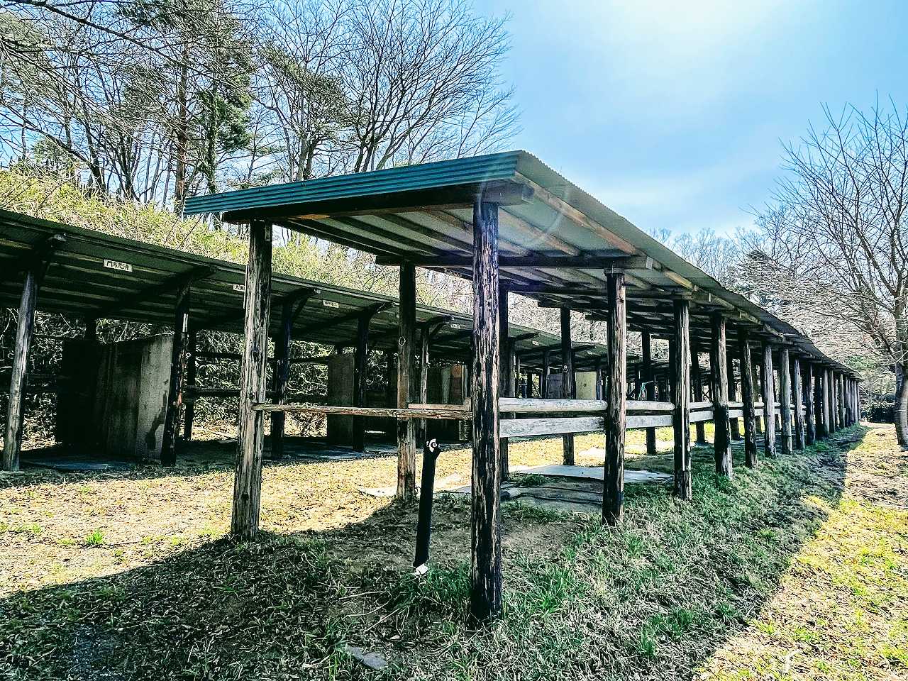 畢宿生まれ349人にみる運気の強い人とは？