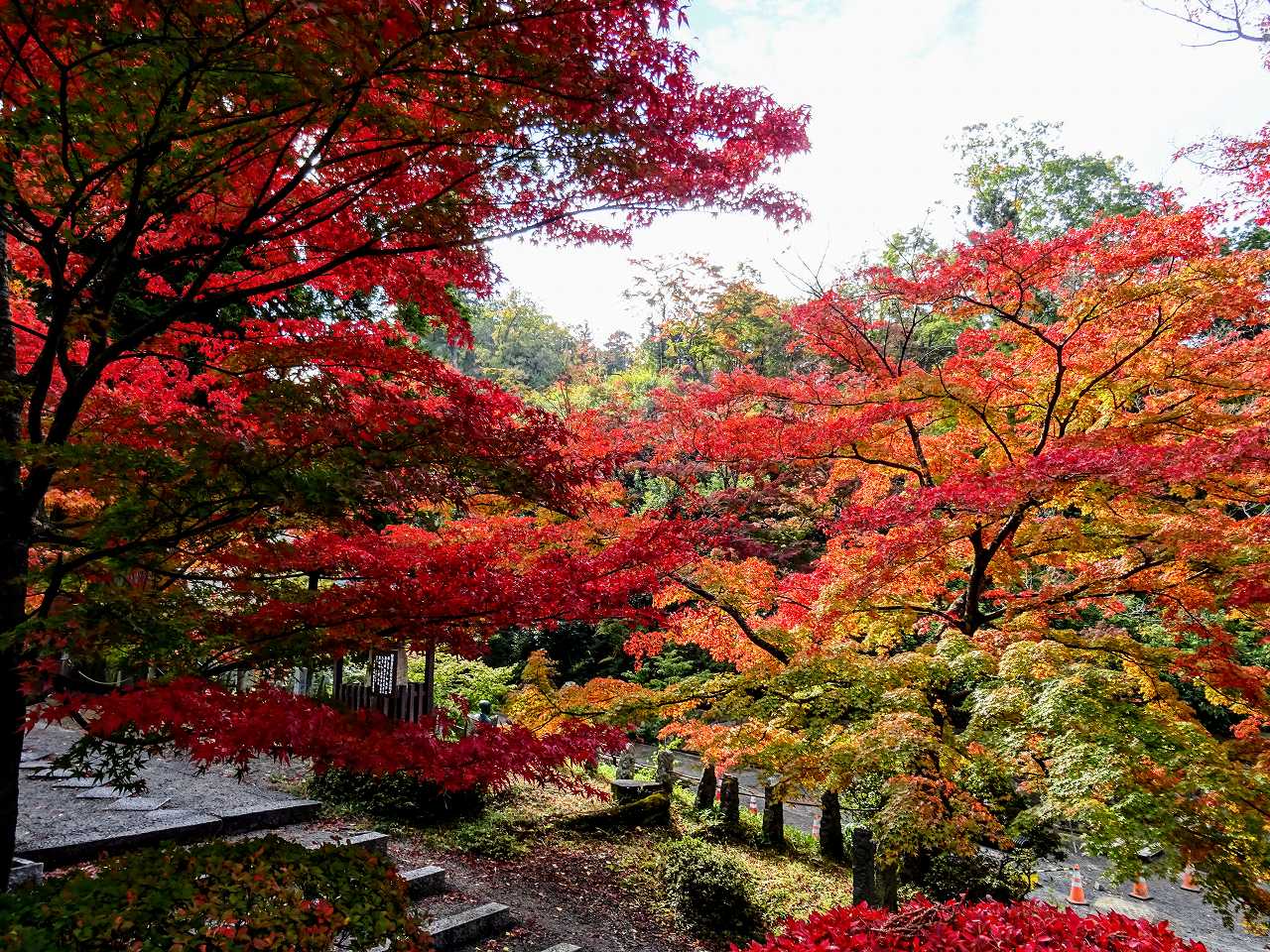 向井理さんの性格・運気・運勢とは？