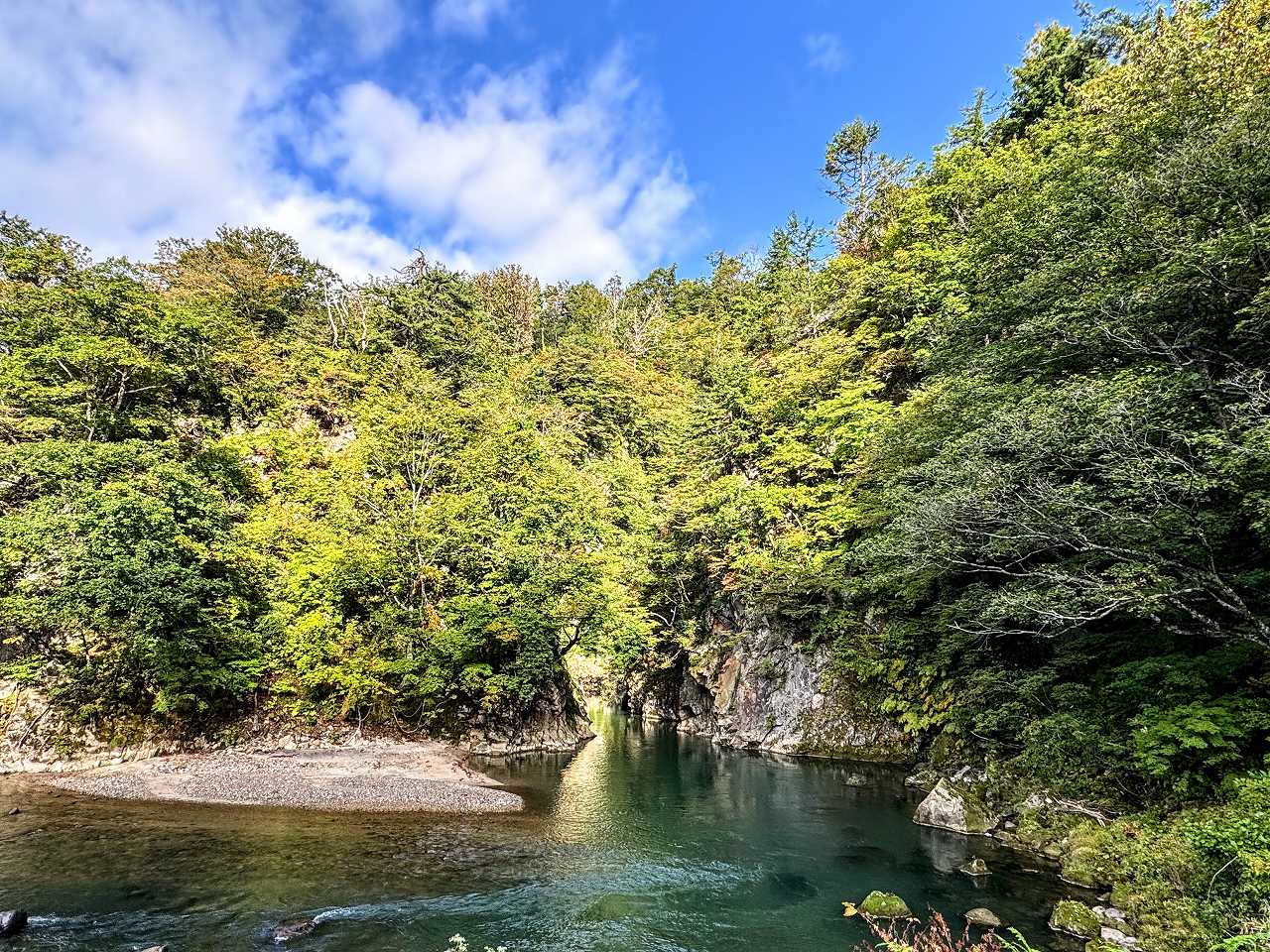 松本怜生さんの性格・運気・運勢とは？
