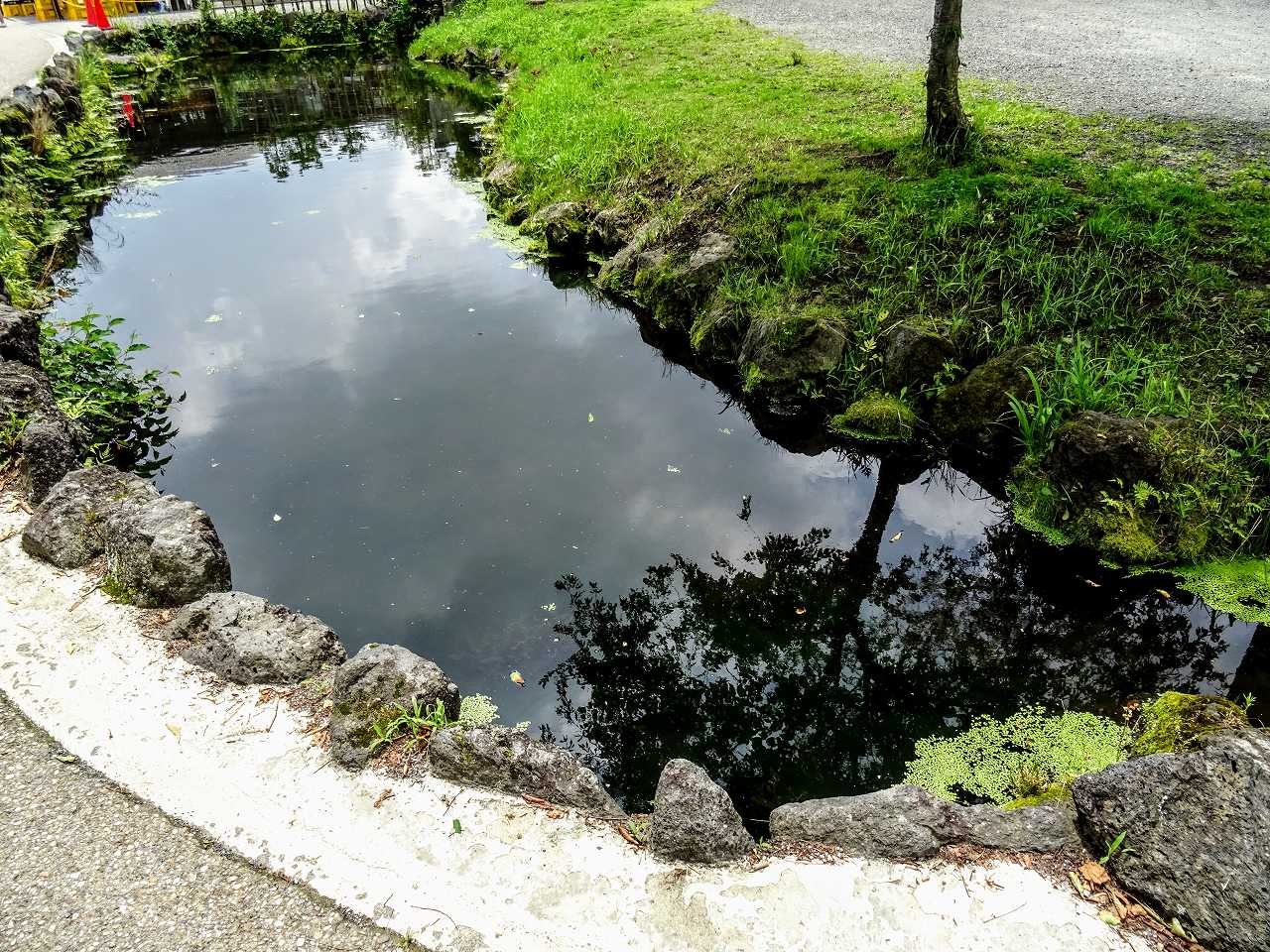 青柳翔さんの性格・運気・運勢とは？
