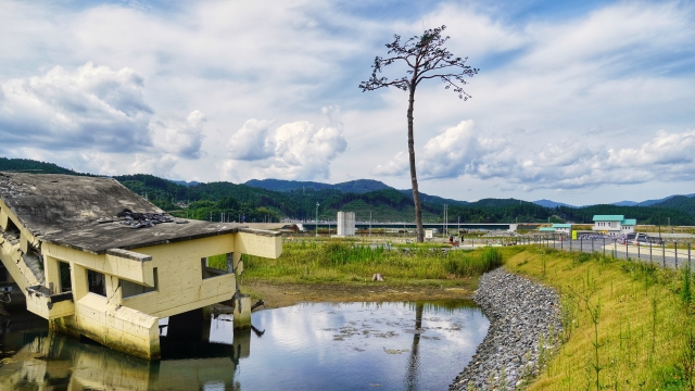 岩手県沖で最大震度6強の地震発生！を占ってみると