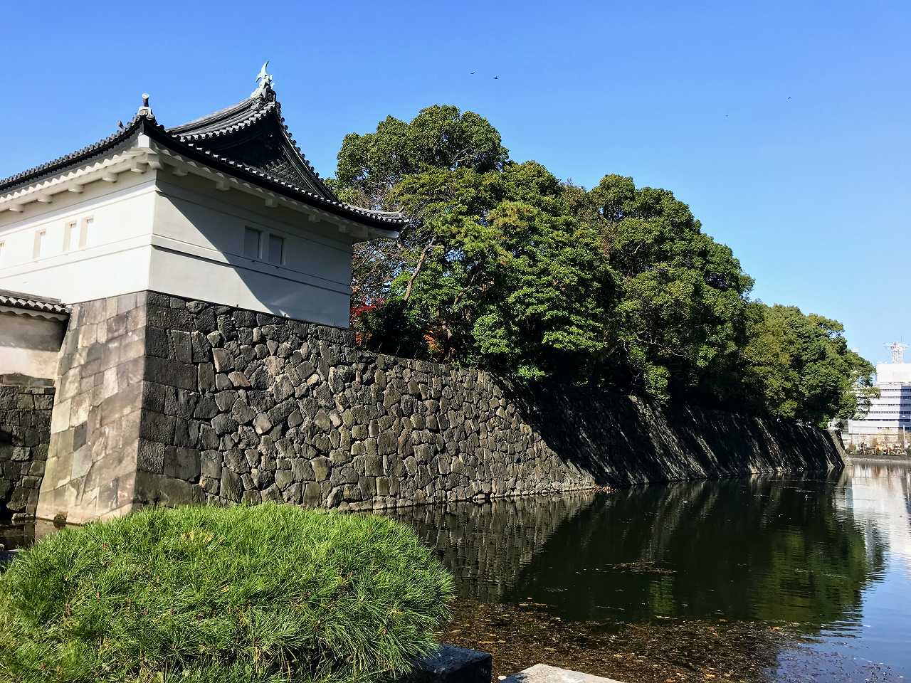 愛子内親王の性格・運気・運勢とは？
