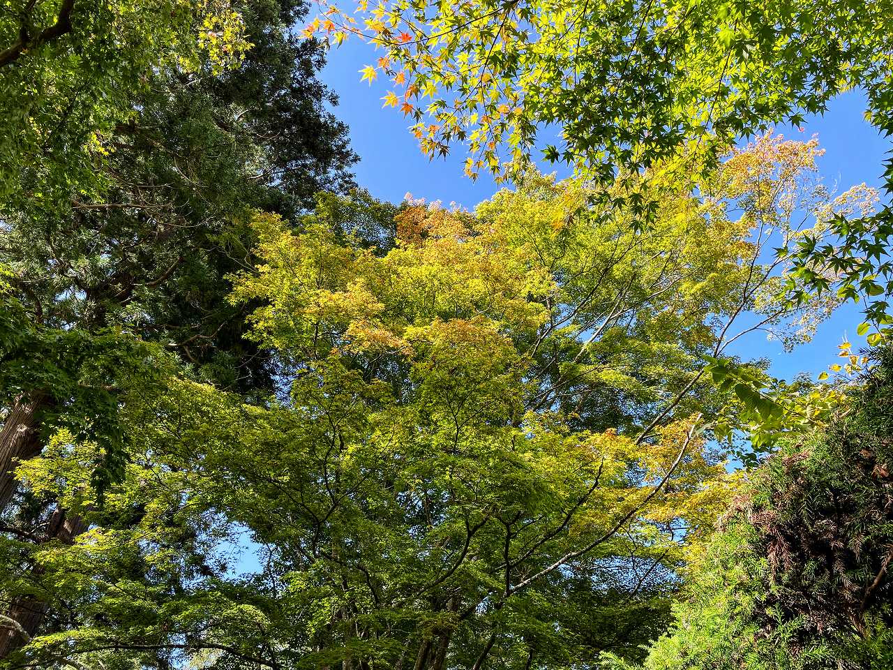 福山雅治さんの性格・運気・運勢とは？