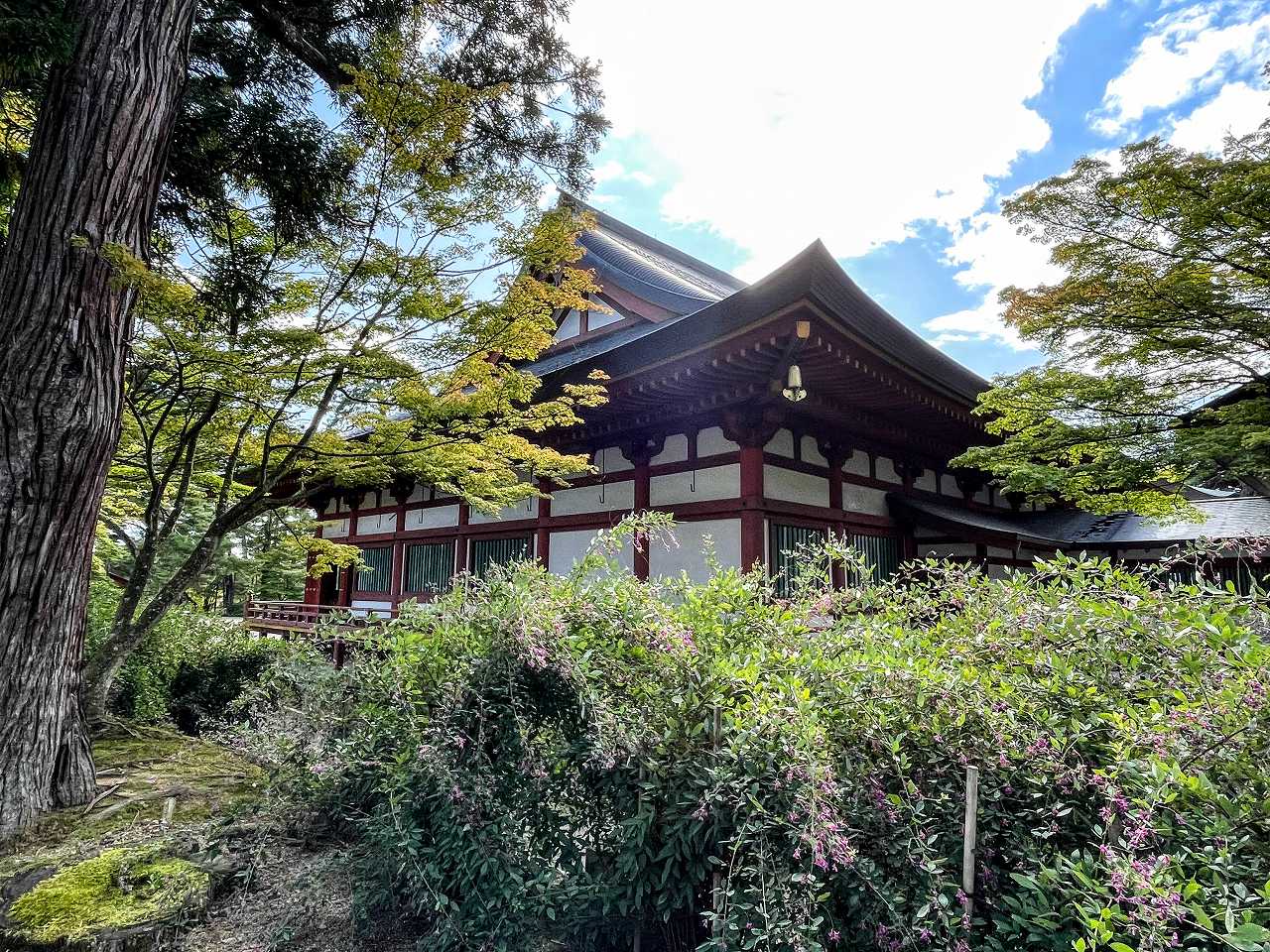 有村架純さんの性格・運気・運勢とは？