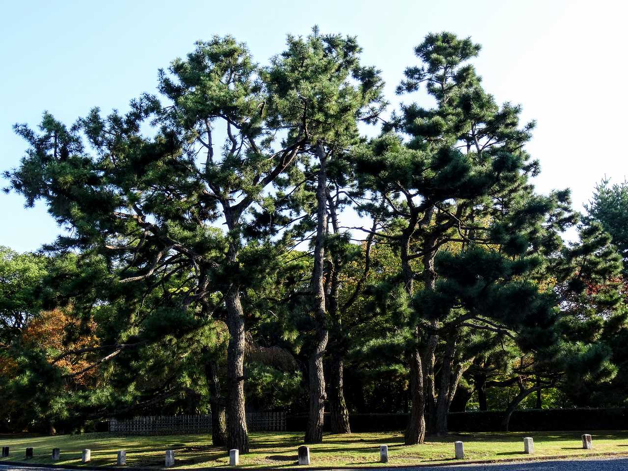 生瀬勝久さんの性格・運気・運勢とは？