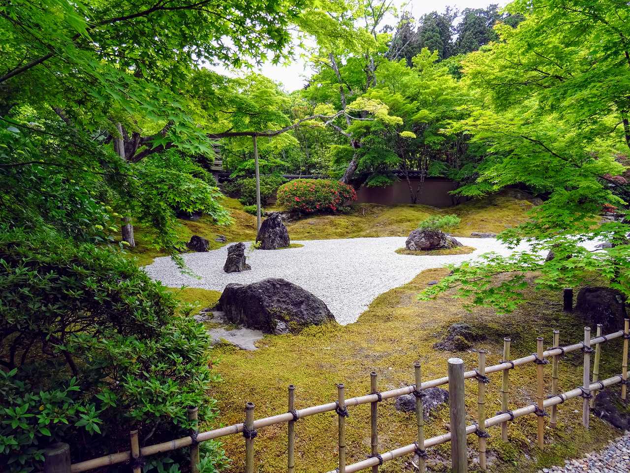 オダギリジョーさんの性格・運気・運勢とは？