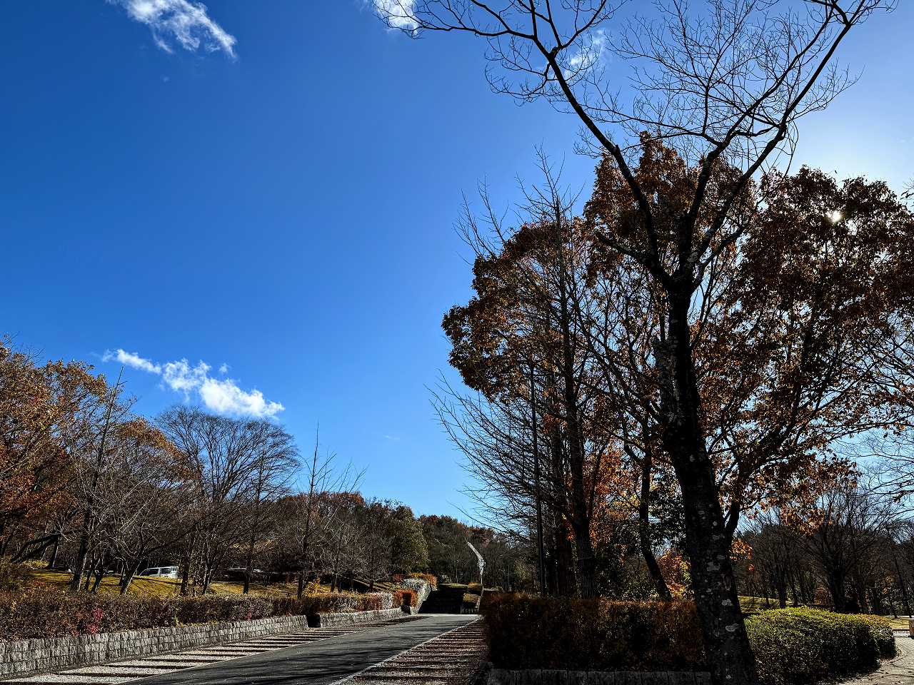 岸井ゆきのさんの性格・運気・運勢とは？