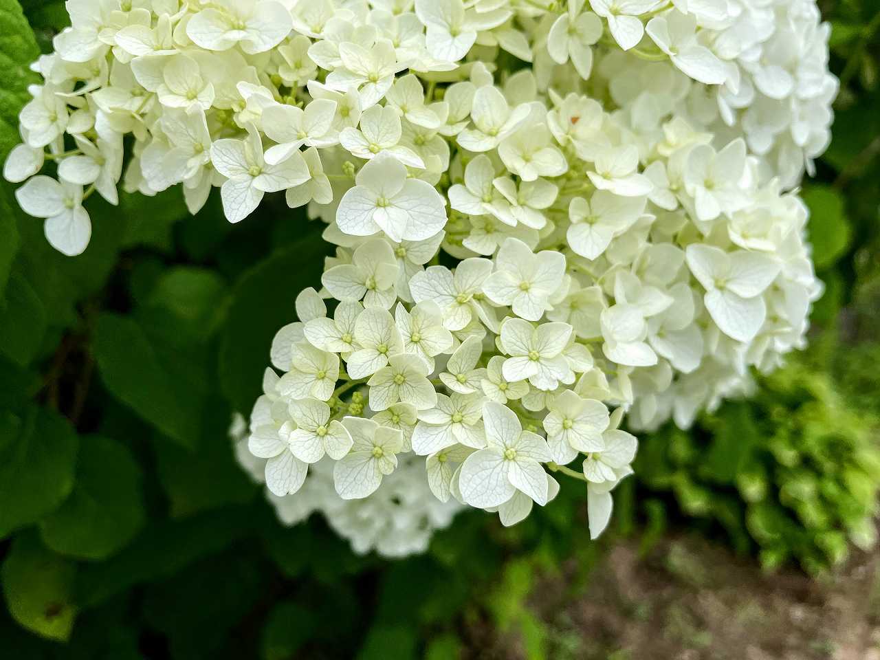 小雪さんの性格・運気・運勢とは？