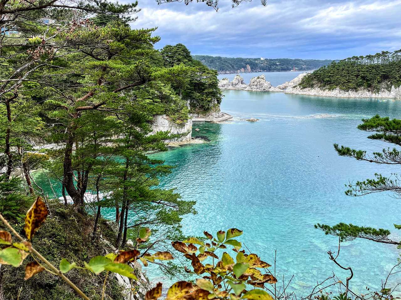 丸山智己さんの性格・運気・運勢とは？