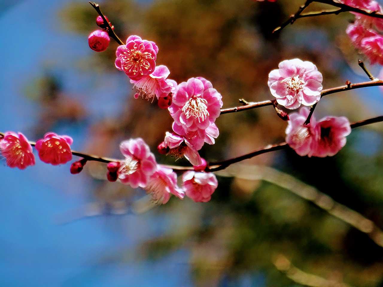 波瑠さんの性格・運気・運勢とは？