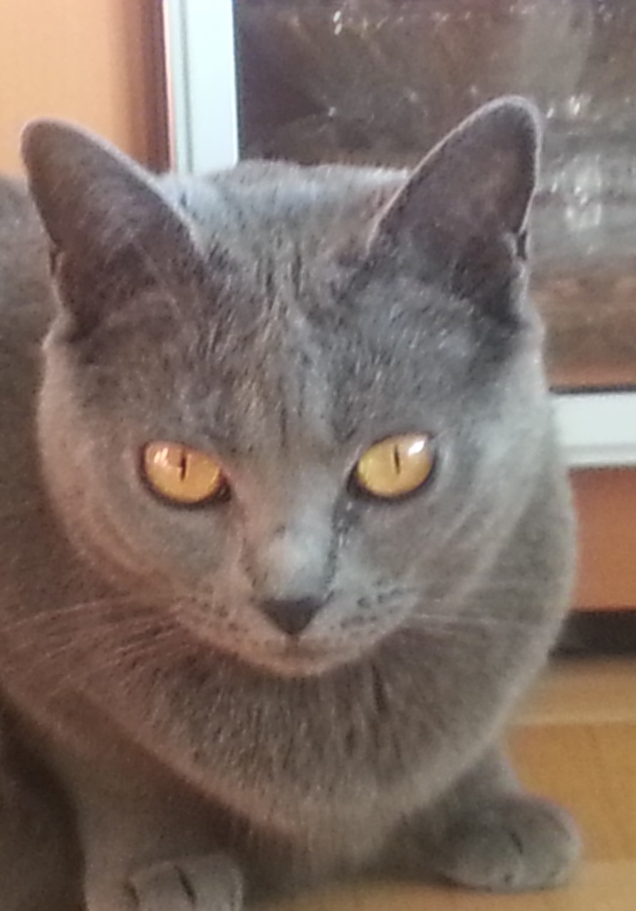 Amy mit 5 Jahren