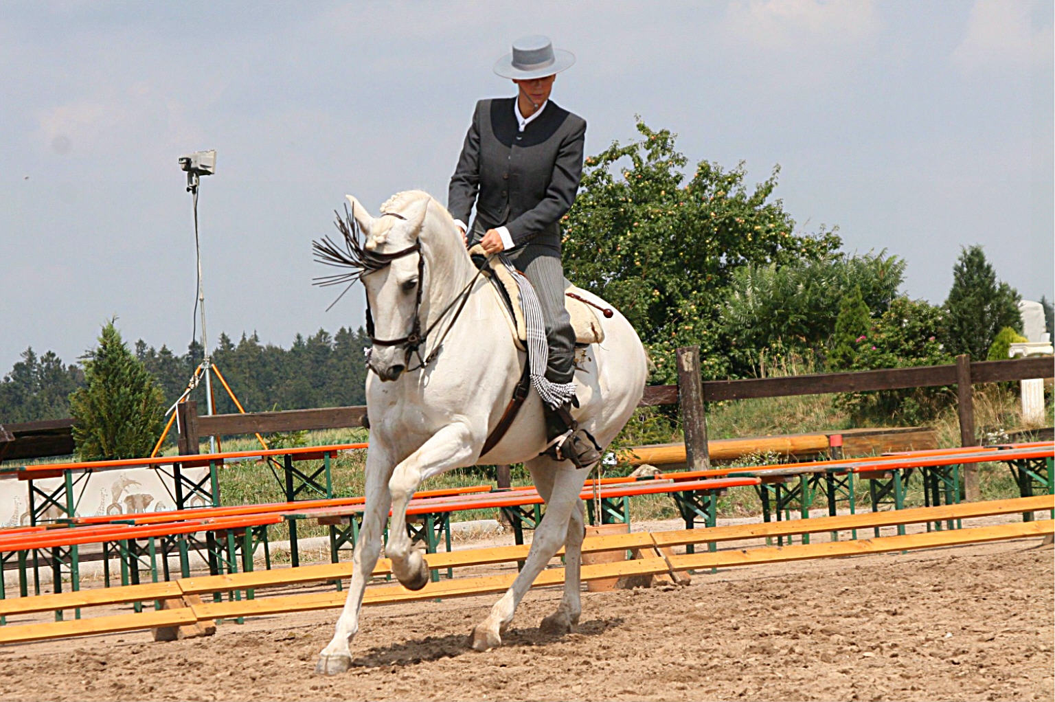 Doma Vaquera/ Working Equitation