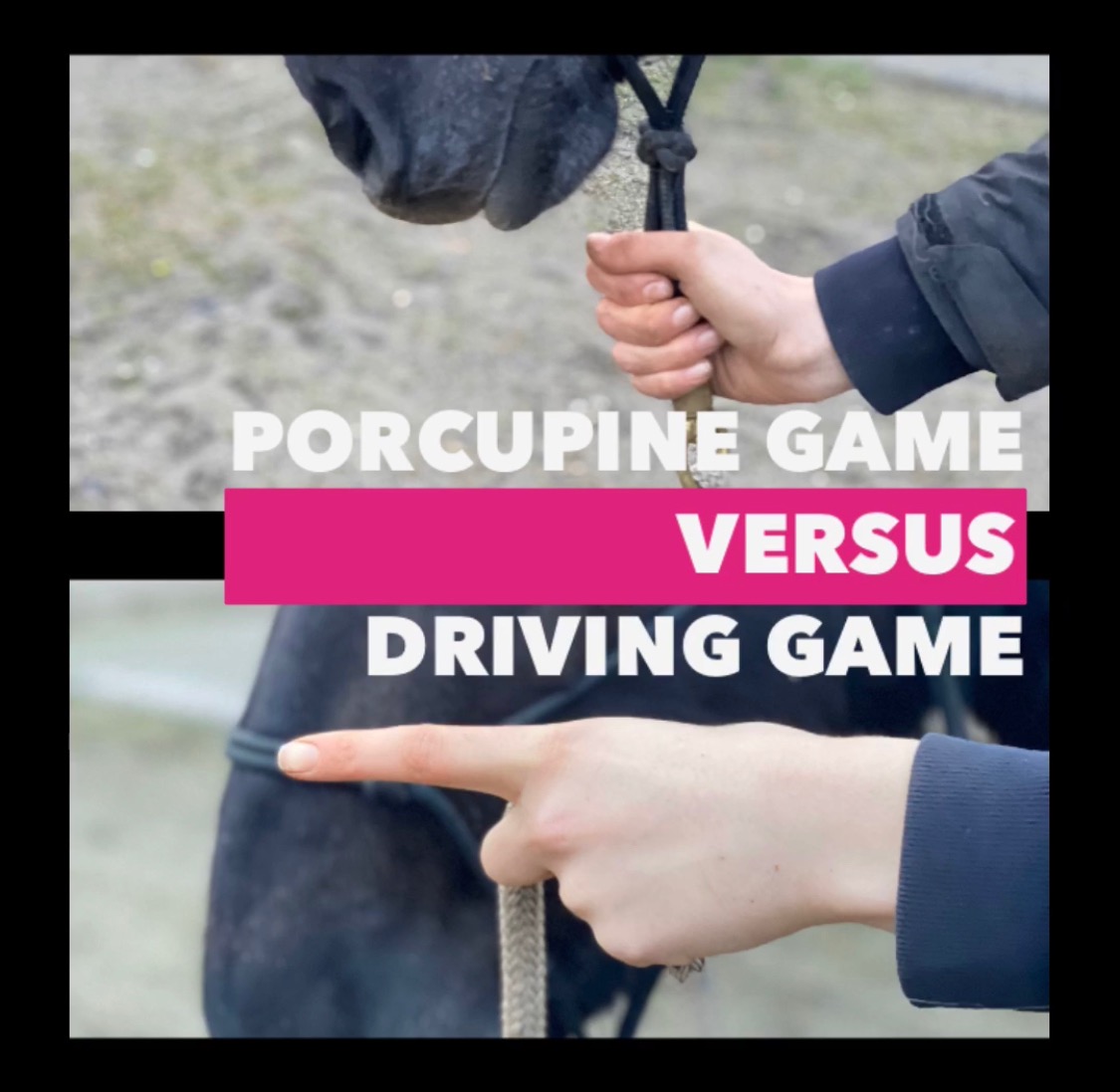 Porcupine Game versus Driving Game