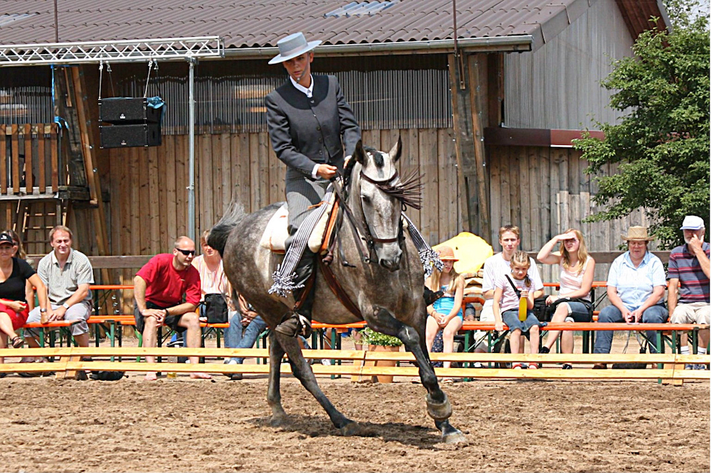 Doma Vaquera/ Working Equitation