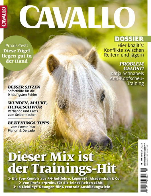 Cavallo Oktober 2023 - Verschiedene Trainingsansätze kombinieren. Meine Konzepte für eine pferdegerechte Ausbildung.