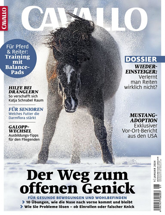 Cavallo Januar 2024 - Wenn die Pferdenase hinter die Senkrechte kommt. Mein Ansatz aus Selbstversuch und Lösung. 