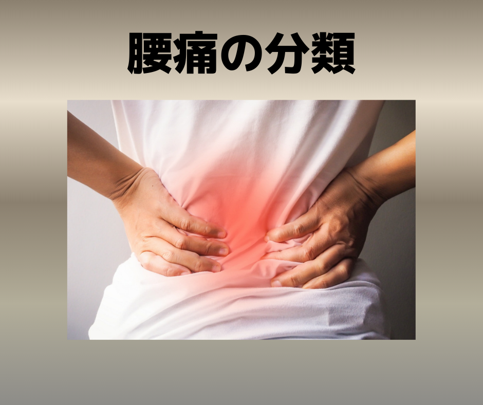 腰痛の分類