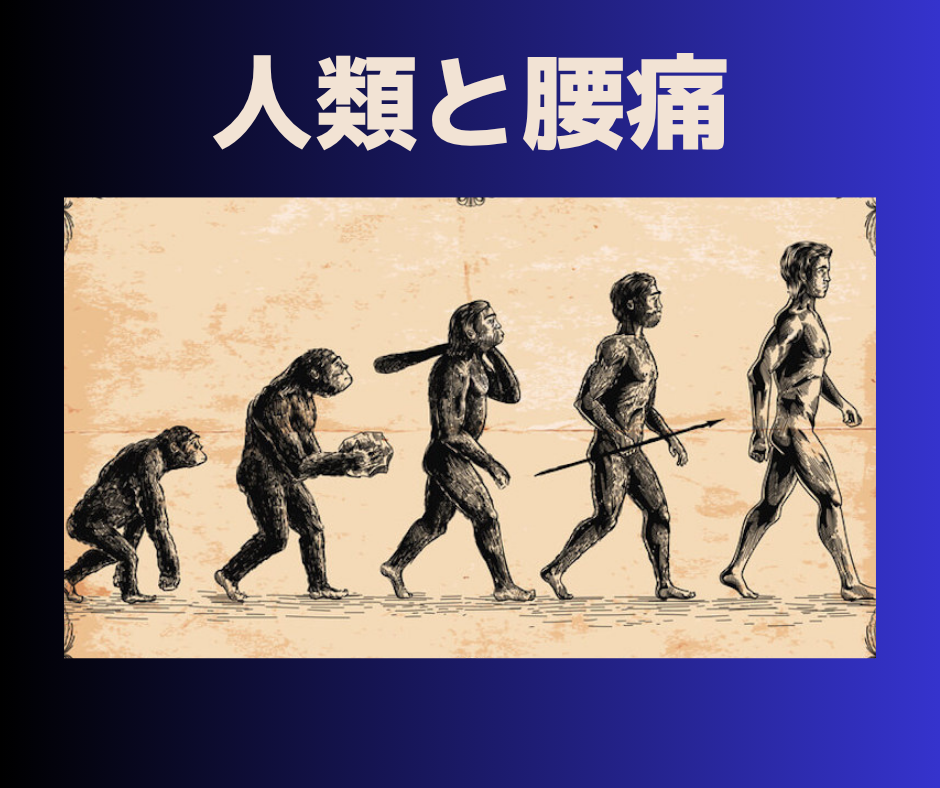 人類と腰痛