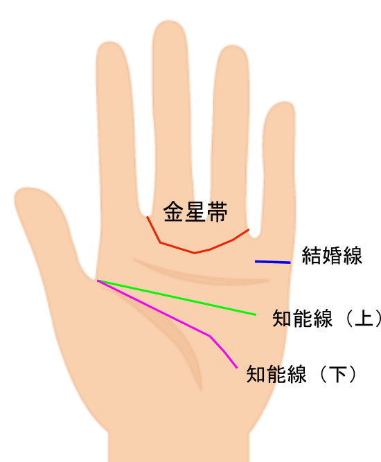 恋愛結婚運に関連している手相
