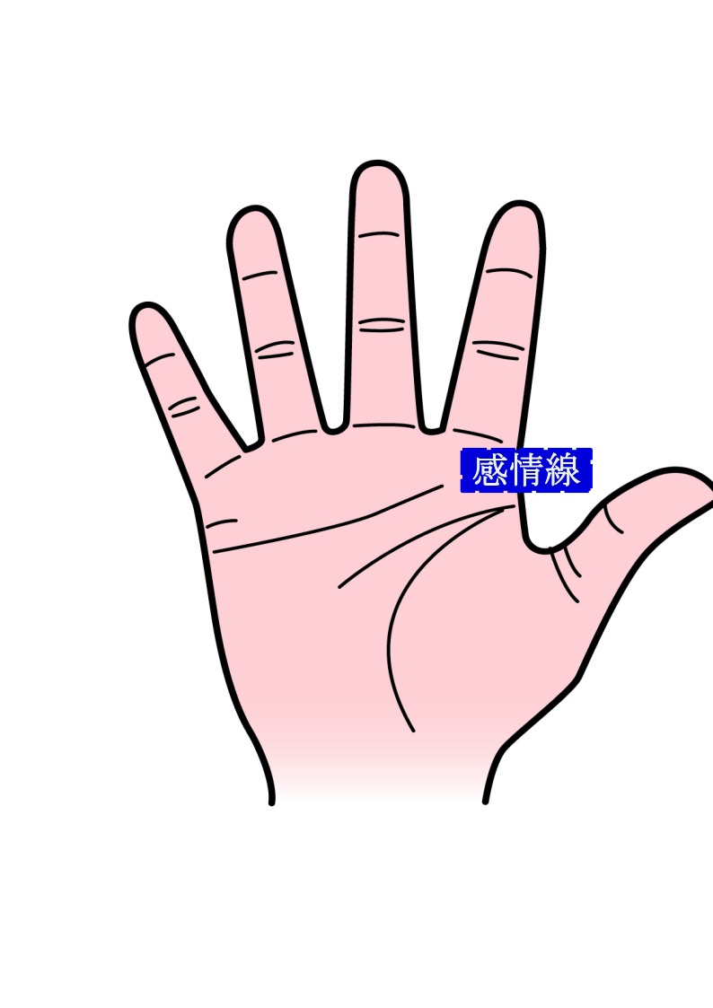 自己表現を表してる「感情線｝