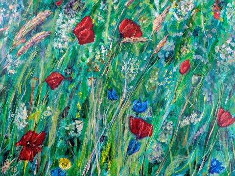 Mohnblumen