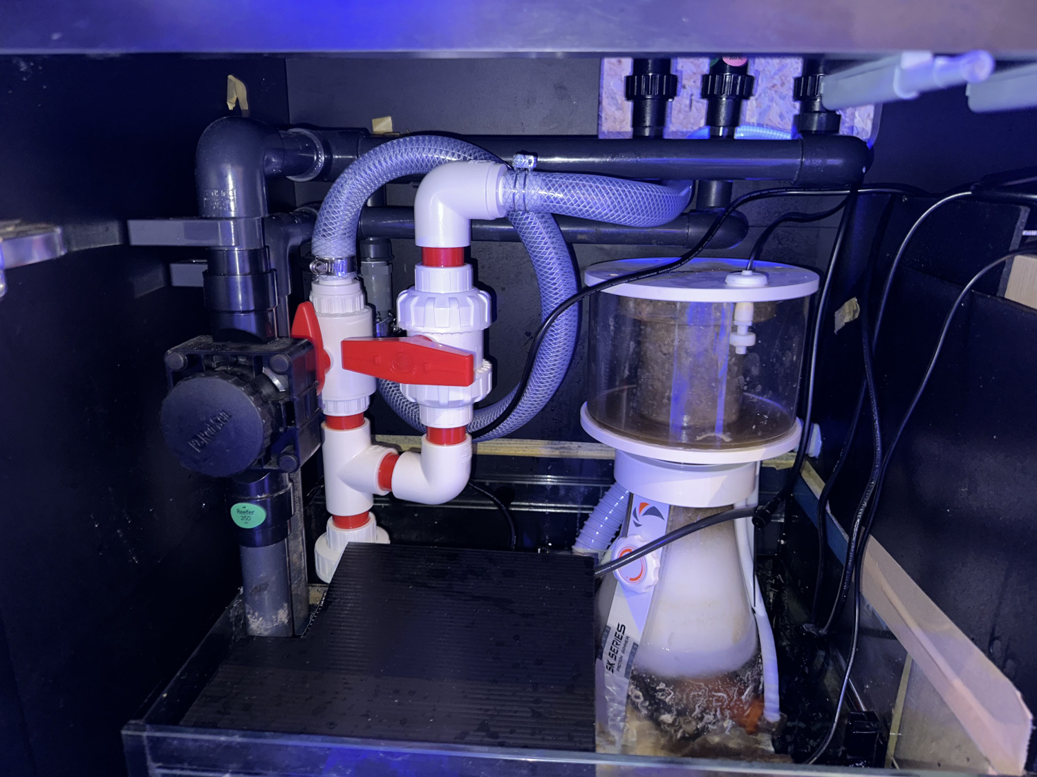 ブログ】お客様紹介 - saff design サフデザイン hsbao 背面濾過