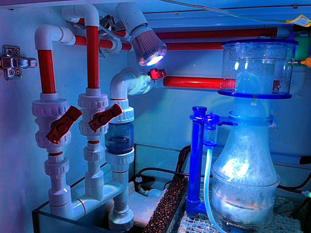 大公開 超弩級レッドシーリーファー３５０旧バージョン改造 Saff Design サフデザイン Hsbao 背面濾過 水槽フランジ