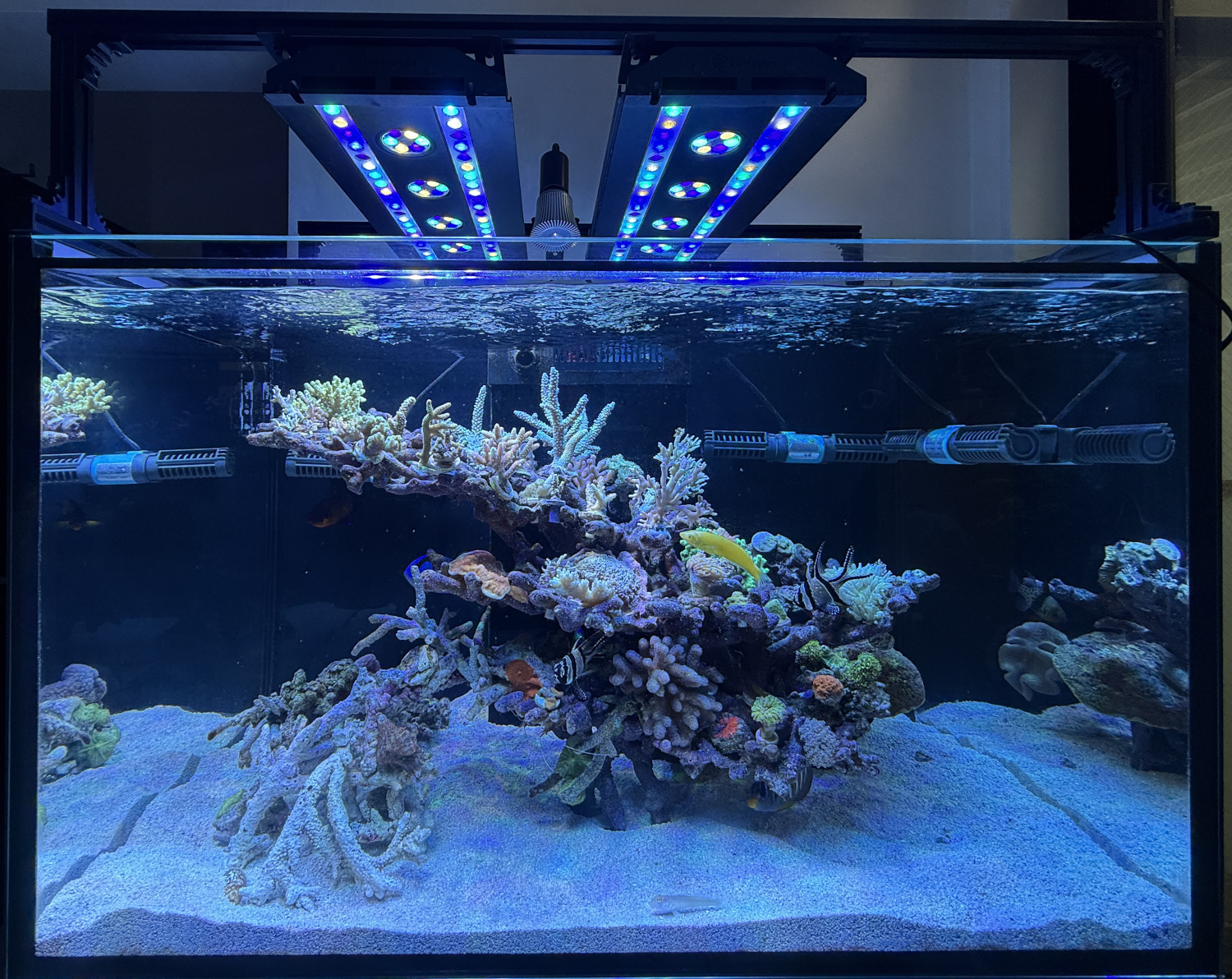 レッドシーリーファー300G2 スペクトラSP200×2台にVitalWaveⅡUVA370改追加