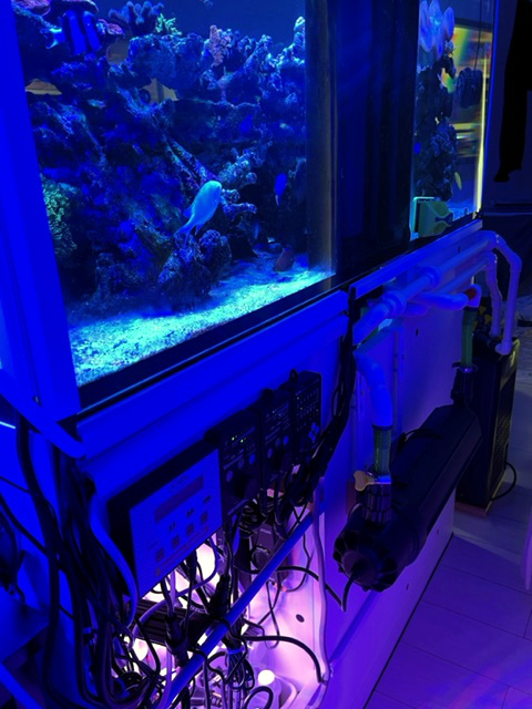 大公開】超弩級レッドシーリーファー350旧バージョン改造