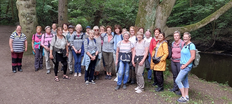 Wanderung durch das Alstertal