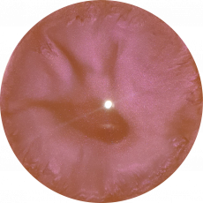 Duochrome YR