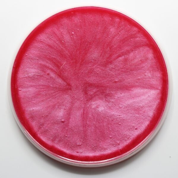 Rosa Blow