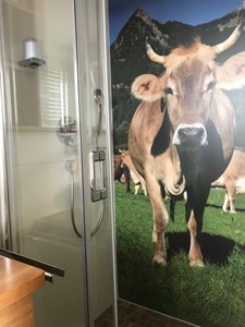 Herz & Wesch Badrenovierung Ortwang