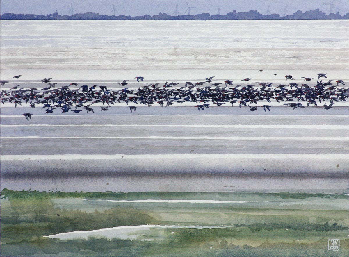 Vogelzug, Wangerooge - Aquarell  32x44 cm  NFS