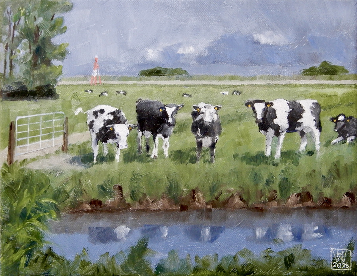 Weserinsel Harriersand: Kühe - Öl 24x30 cm