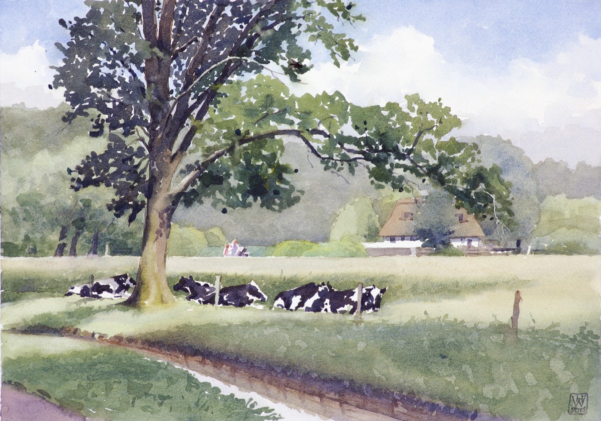 Kuhweide, Bremer Bürgerpark - Aquarell 31x44 cm