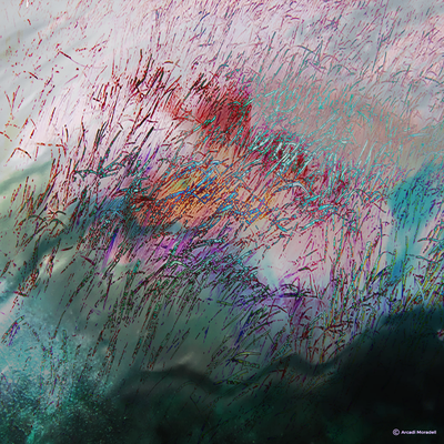 42 Posidònia de colors i llum. 60 x 60 cm  850 € , con edició de 5 ejemplares.