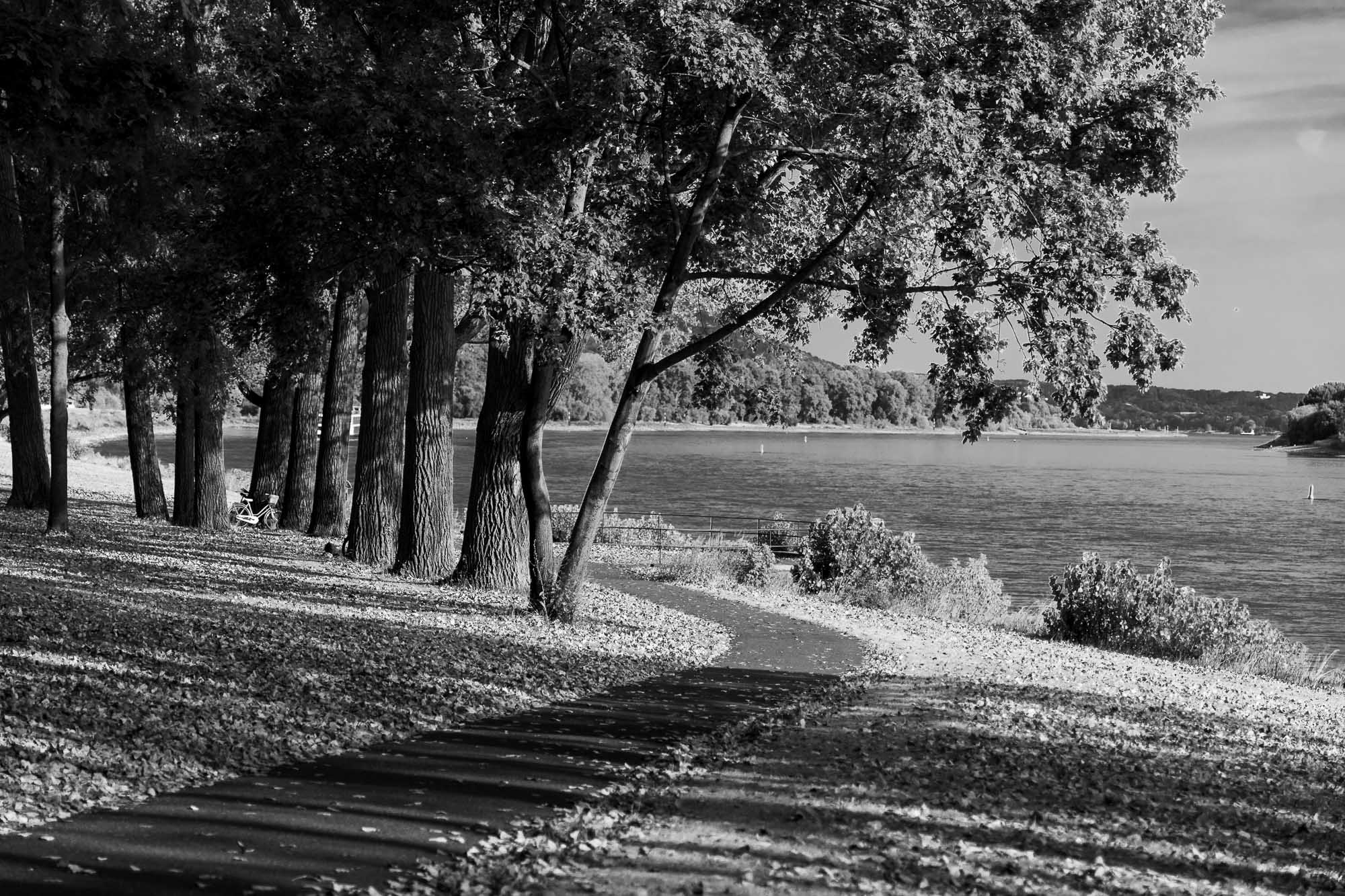 Rhein-Walk