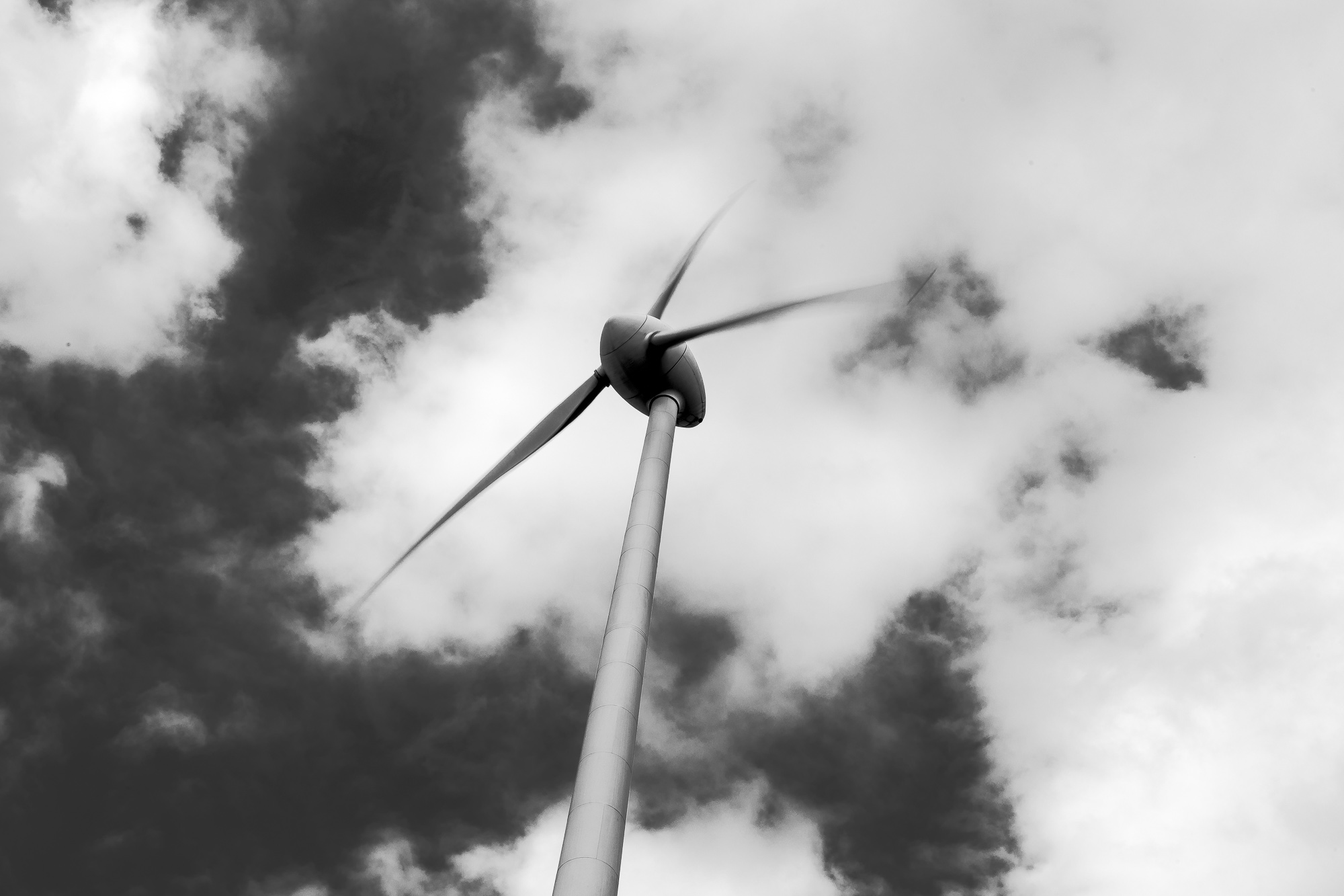 Dem Sturm ins Angesicht