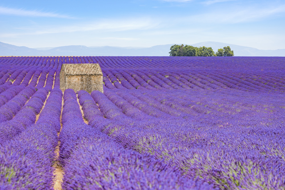 Provence