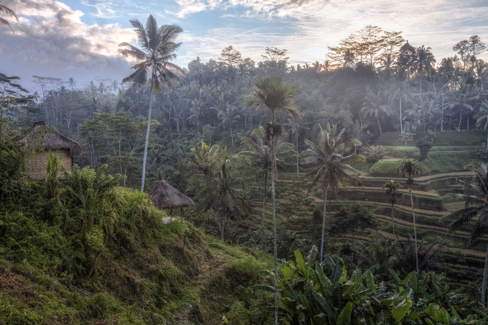 Tegalalang, Bali