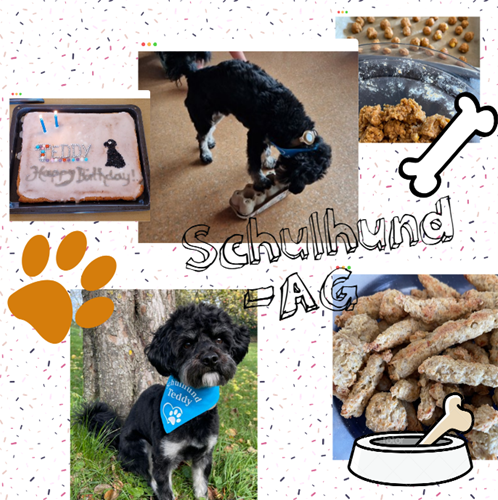Erfolgreiches Premierenjahr: Schulhund-AG begeistert die Kinder der Marienschule